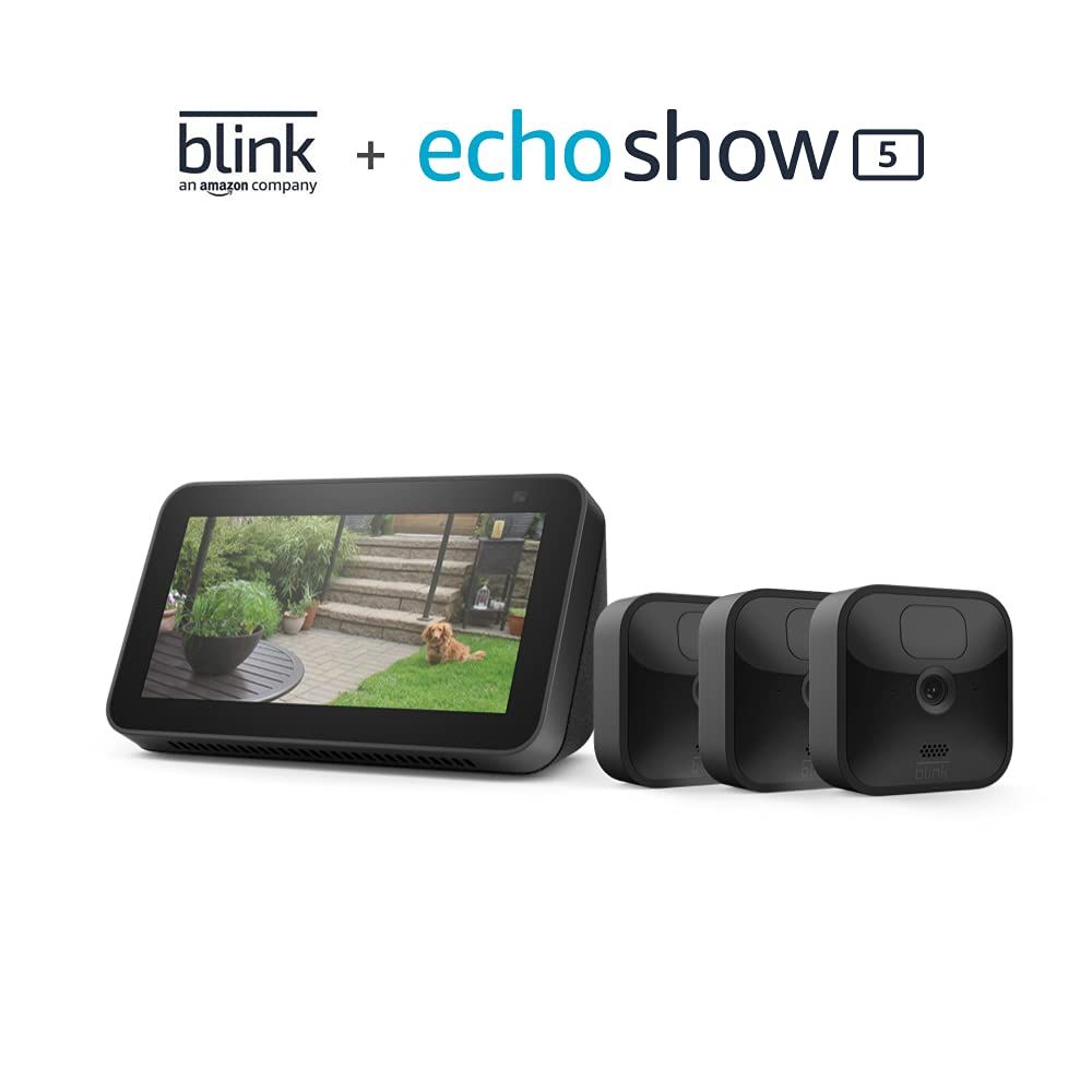 Blink + echo show