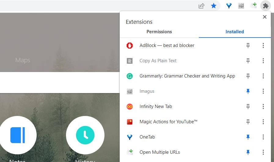 Google Chrome's Extensions button 