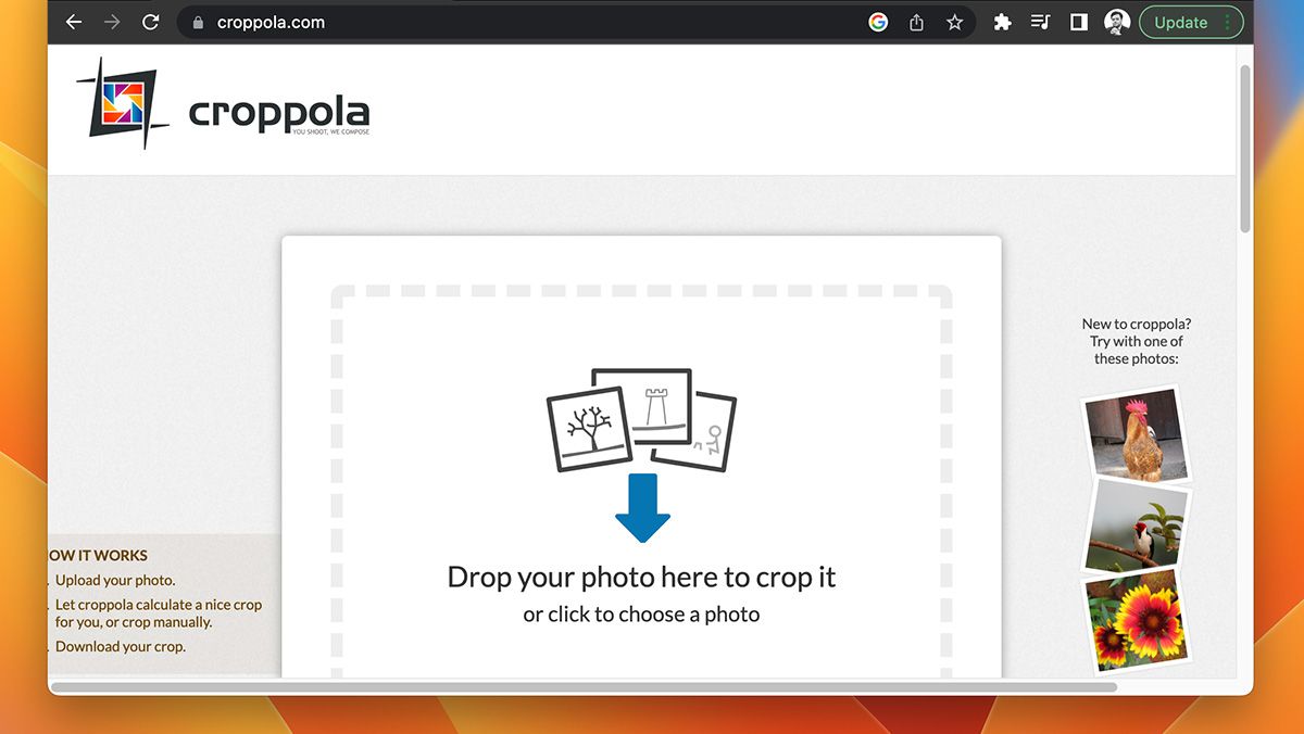Croppola online image cropping tool