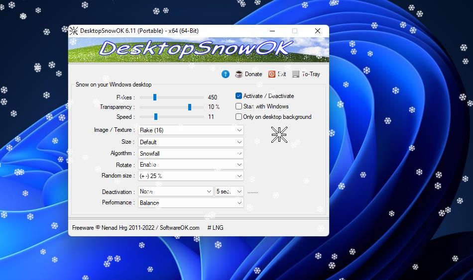 The DesktopSnowOK window 