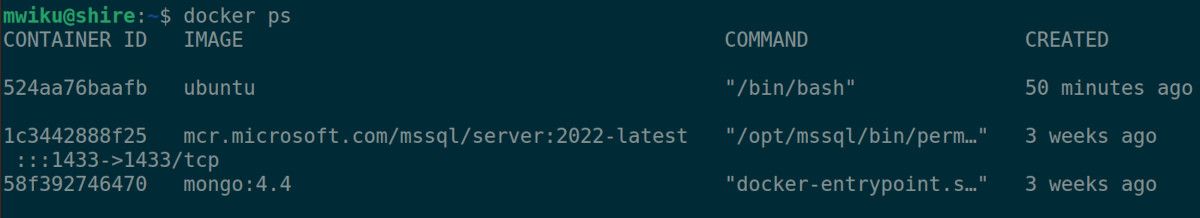 list docker containers on Ubuntu