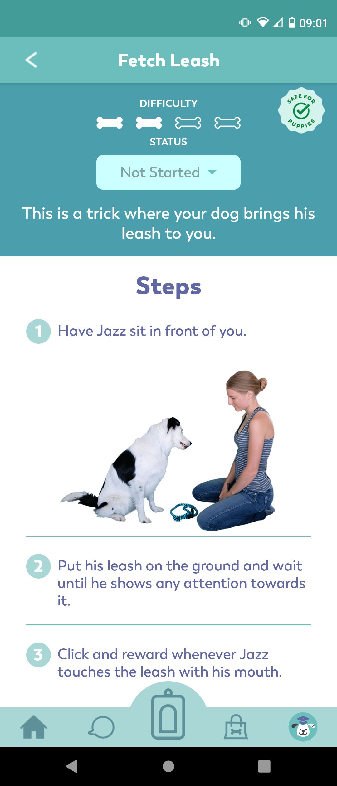 Fetch Leash Dog Training on Puppr App