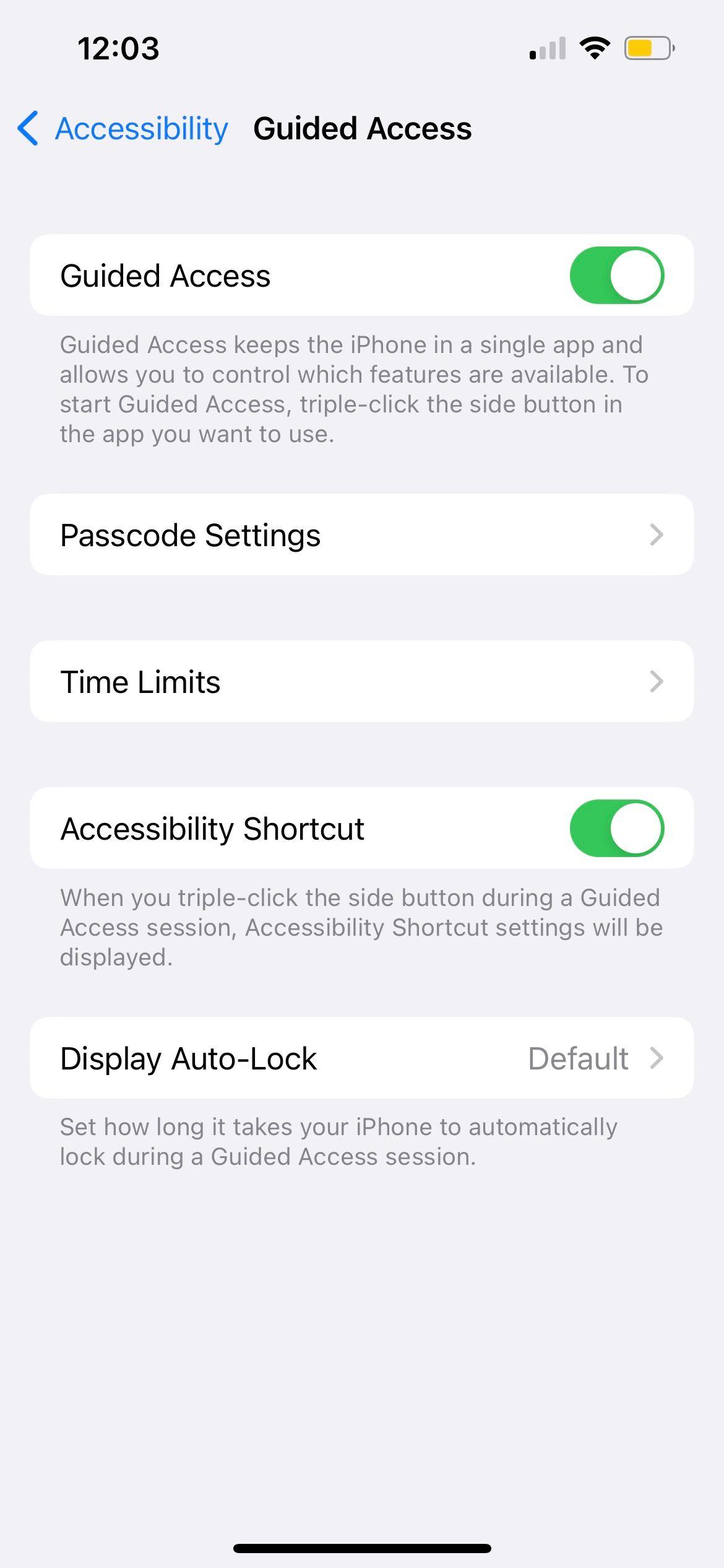 guided access settings on iphone
