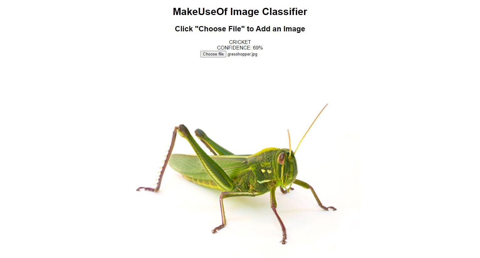 image classifier detecting a cricket
