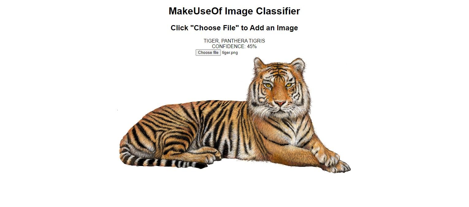 image classifier detecting a tiger