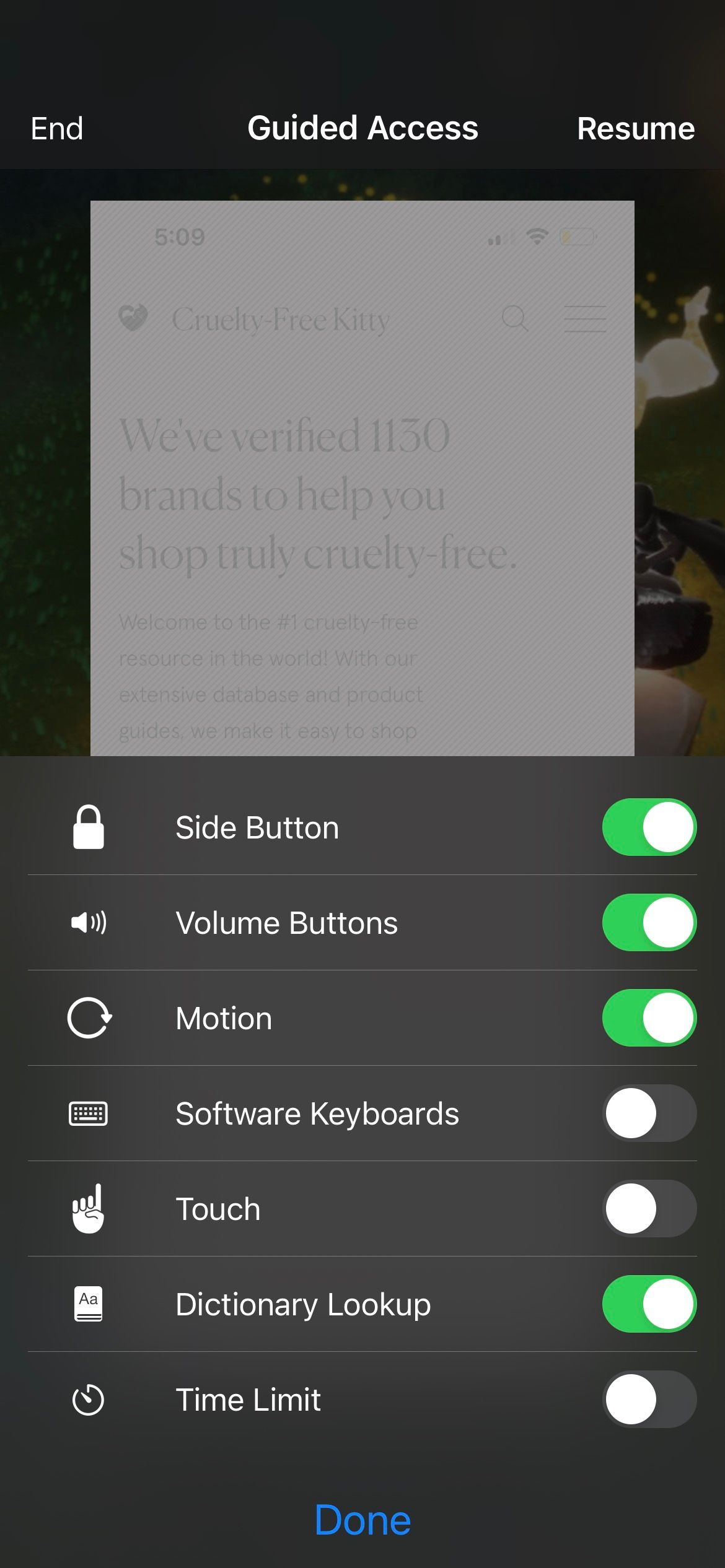 Customize Guided Access Restrictions on iPhone
