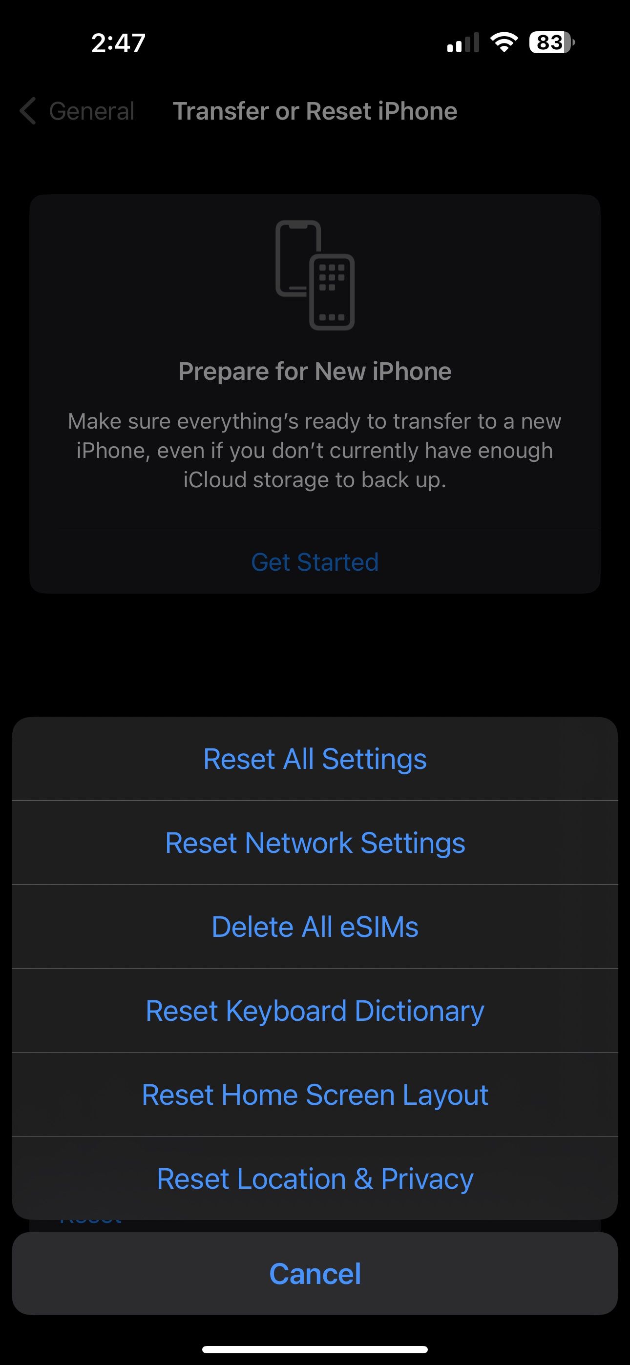 iPhone Reset Page in Settings