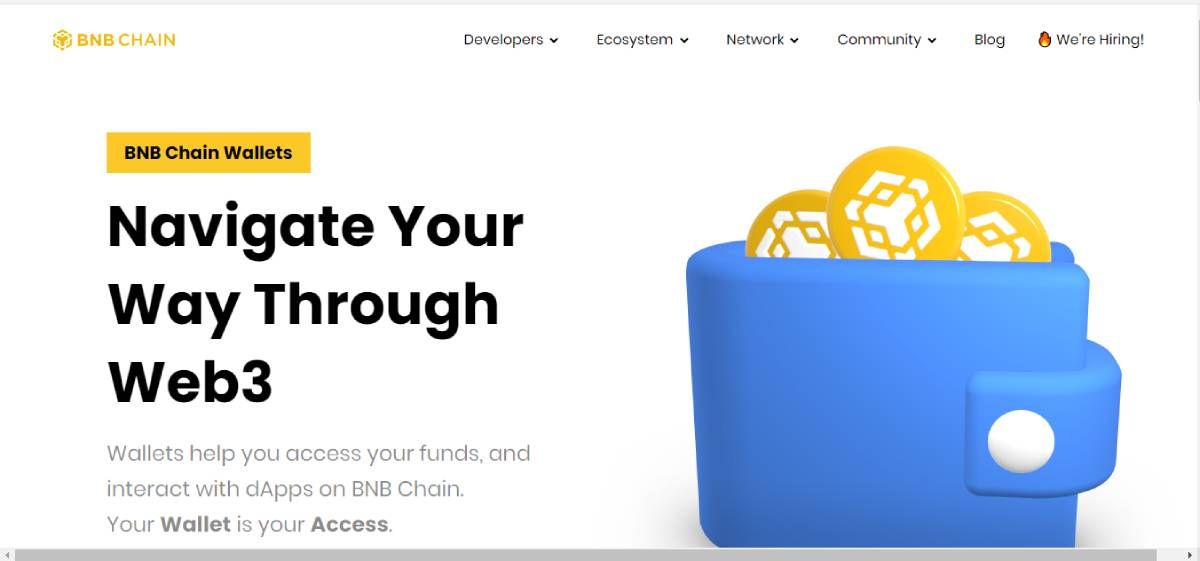 screenshot of binance smart chain homepage
