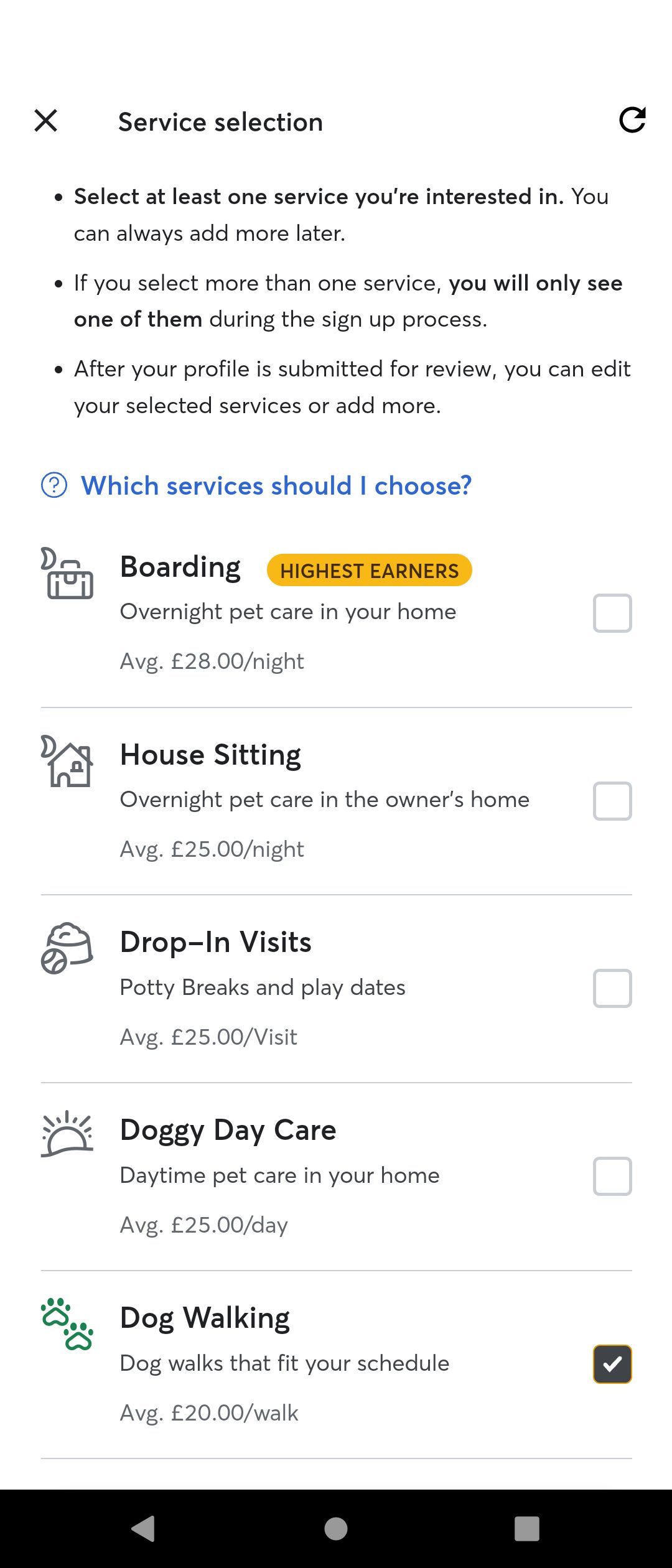 Selecting Dog Services to Offer on the Rover App