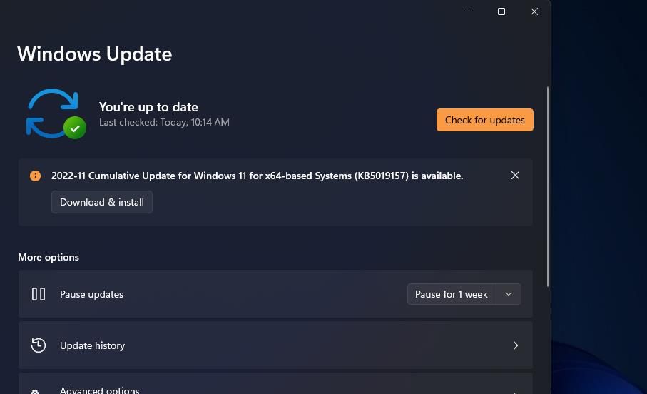 The Check for updates option 