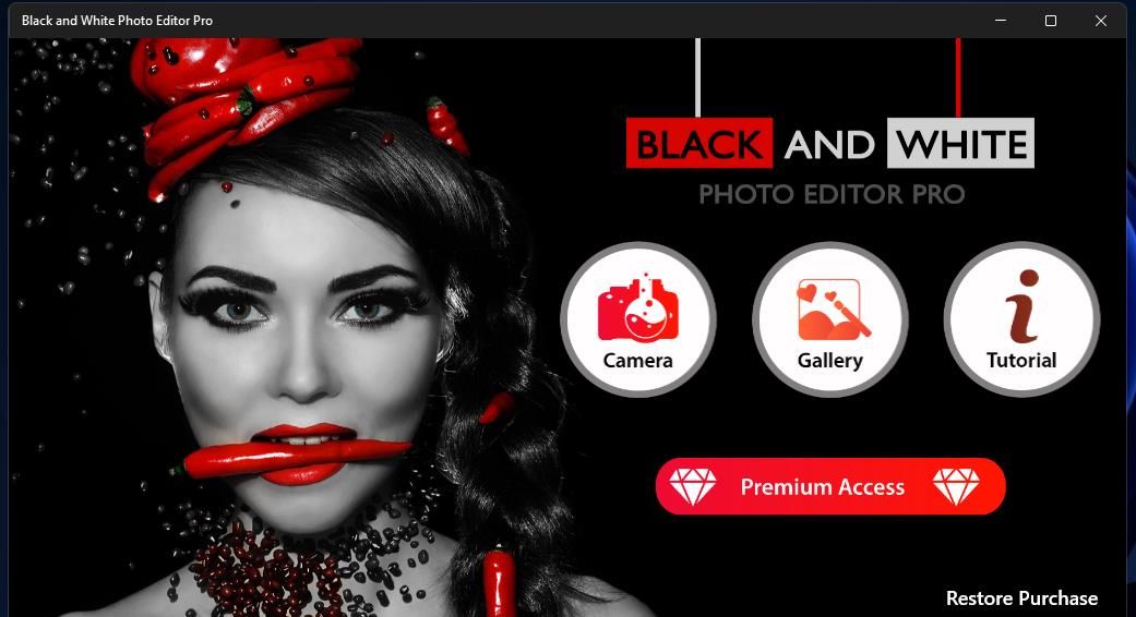 The Gallery button in Black and White Photo Editor Pro 