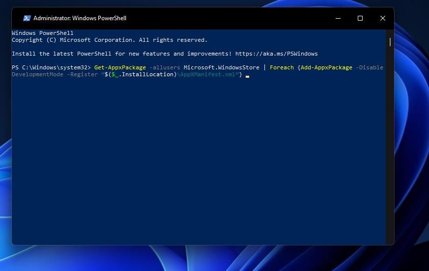 The reinstall Microsoft Store command 
