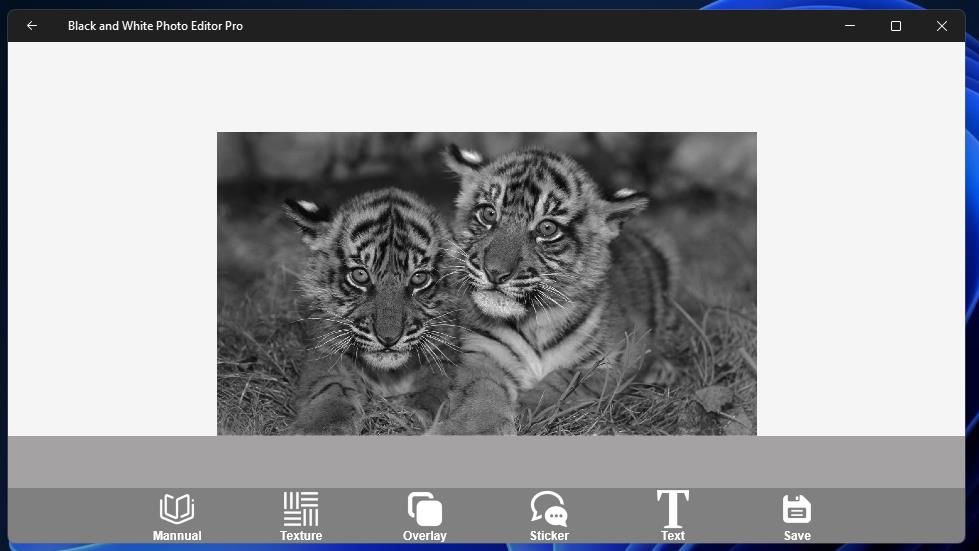 The Save option in Black and White Photo Editor 