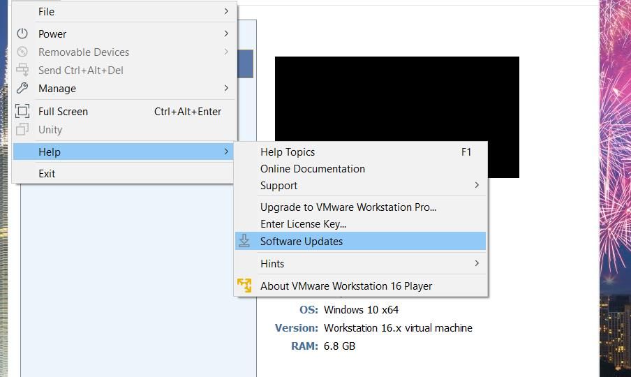 گزینه Software Updates در VMware