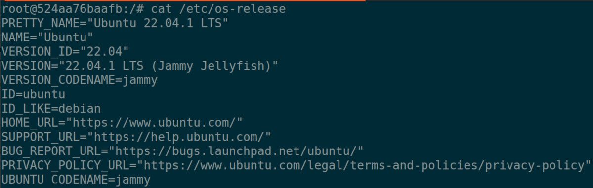 ubuntu os information on docker