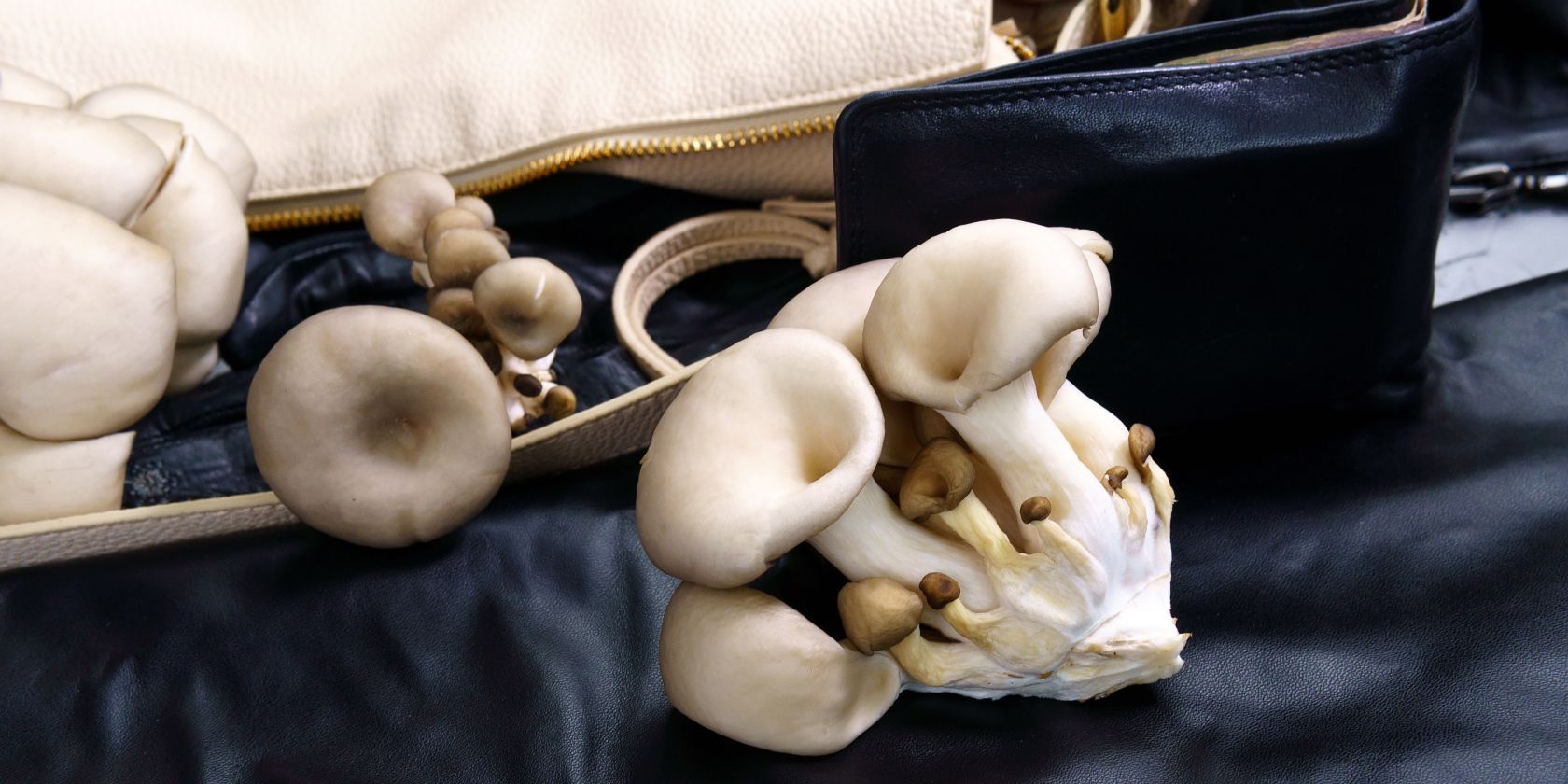 vegan leather made from mushrooms feature