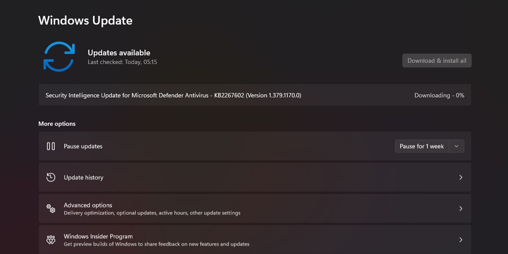 Windows 11 Updates settings