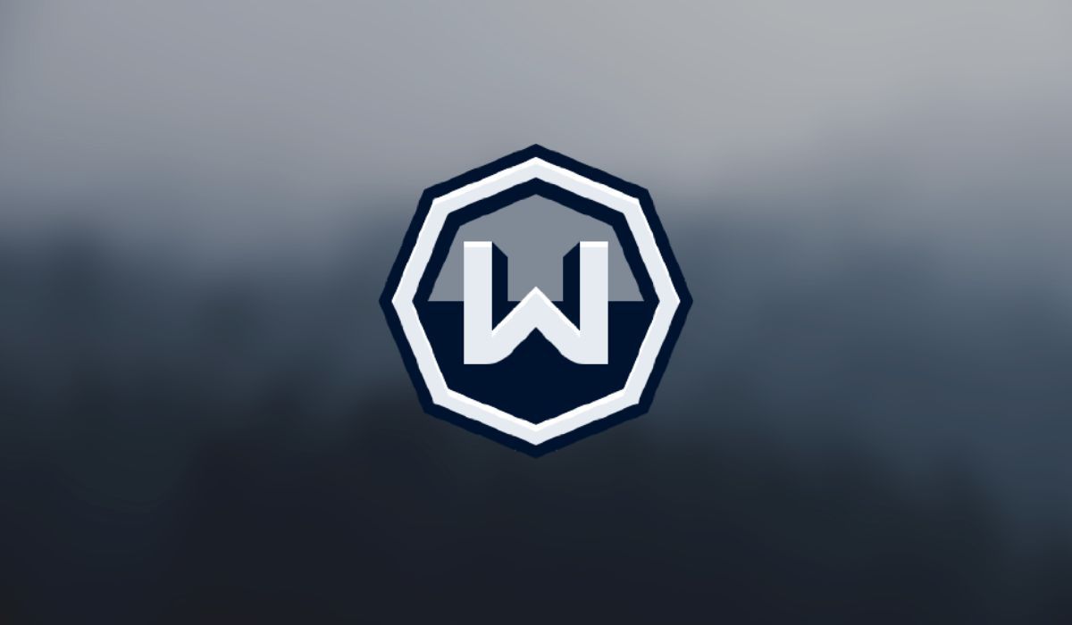 Logo Windscribe vu sur fond flou gris