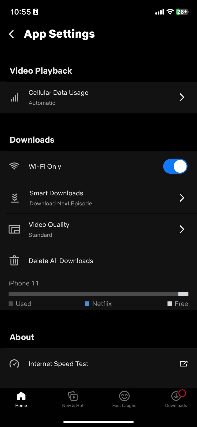 Netflix's App Settings page on iOS