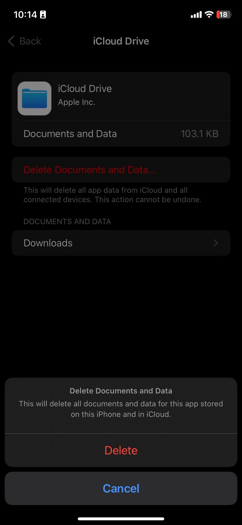 Deleting iCloud Drive Documents & Data file on iOS