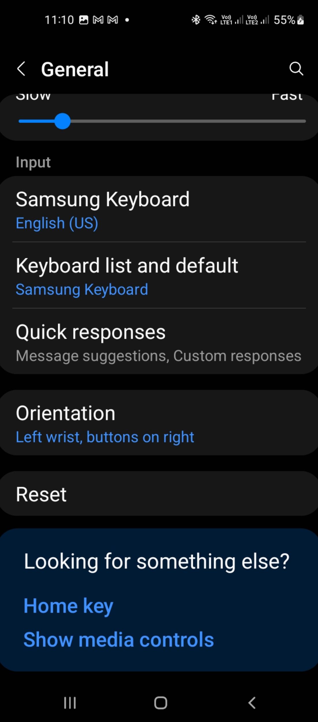 Reset options Samsung Wearable
