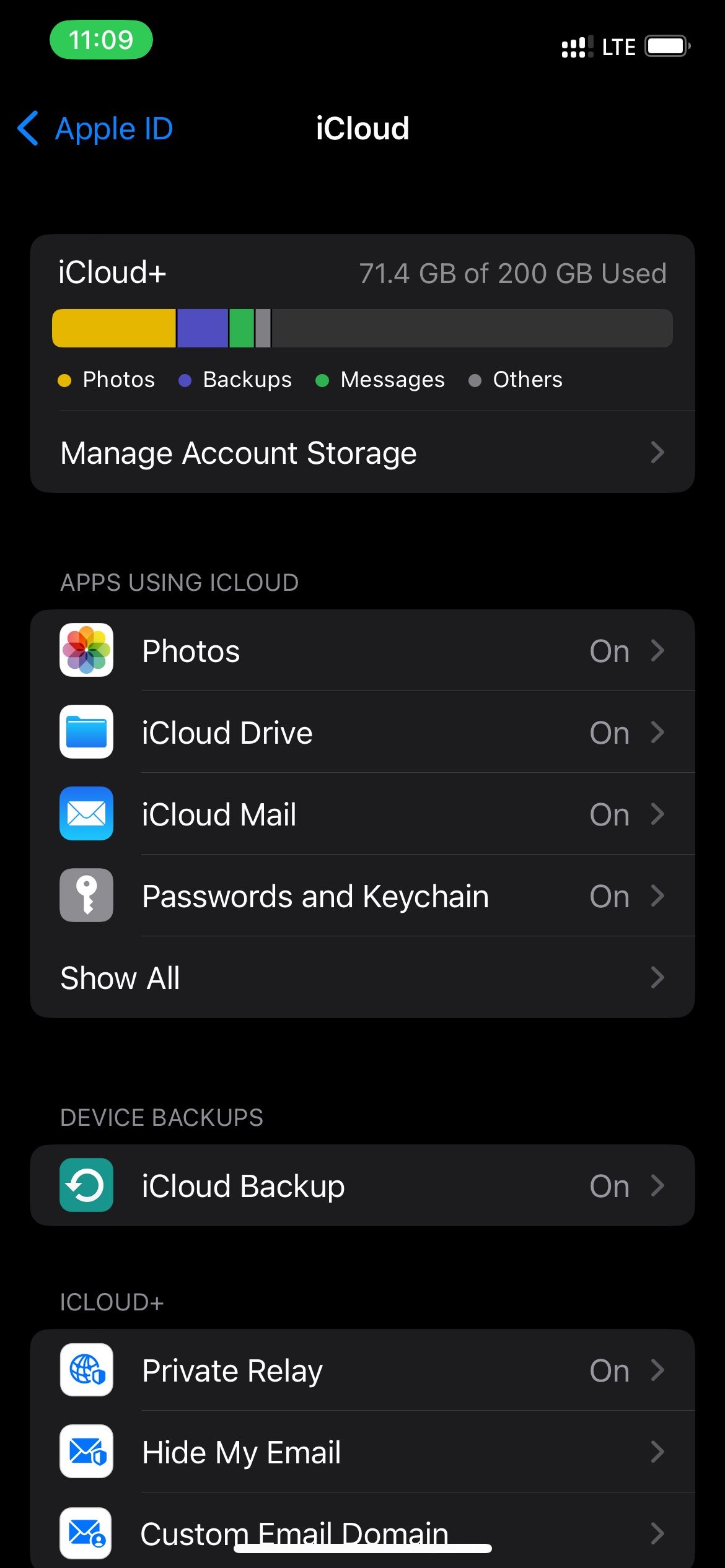 Tap Show All under Apps Using iCloud section