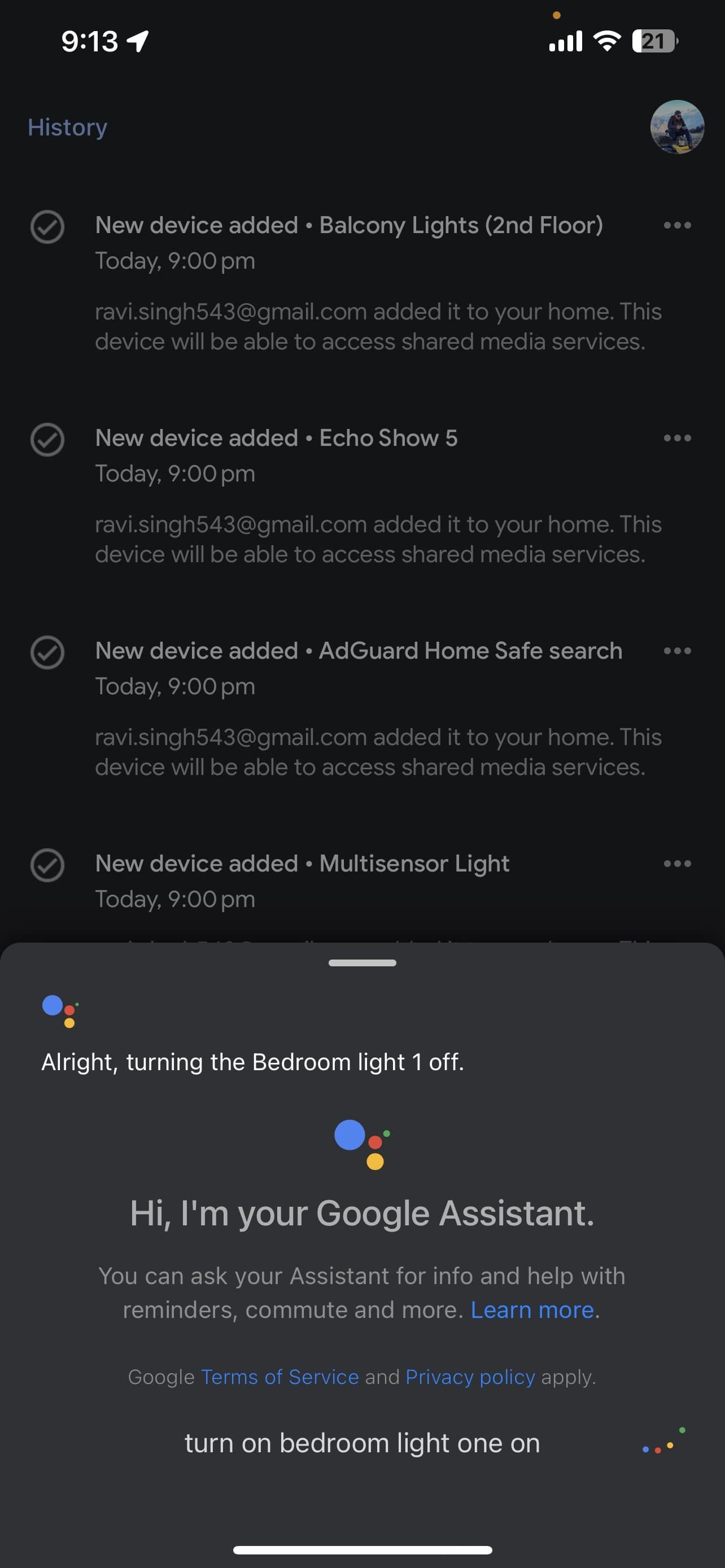 ask google assistant to switch on off home assistant lights switches