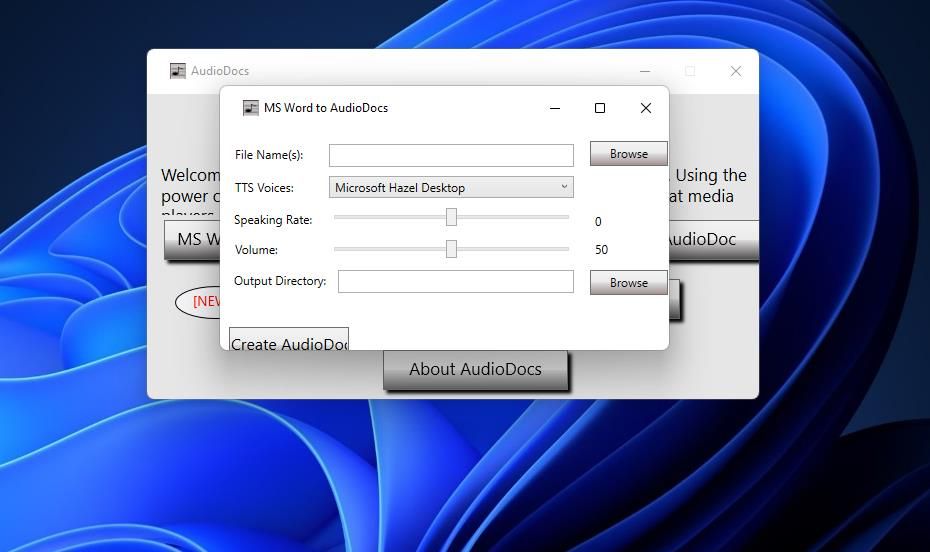 The conversion options in AudioDocs 