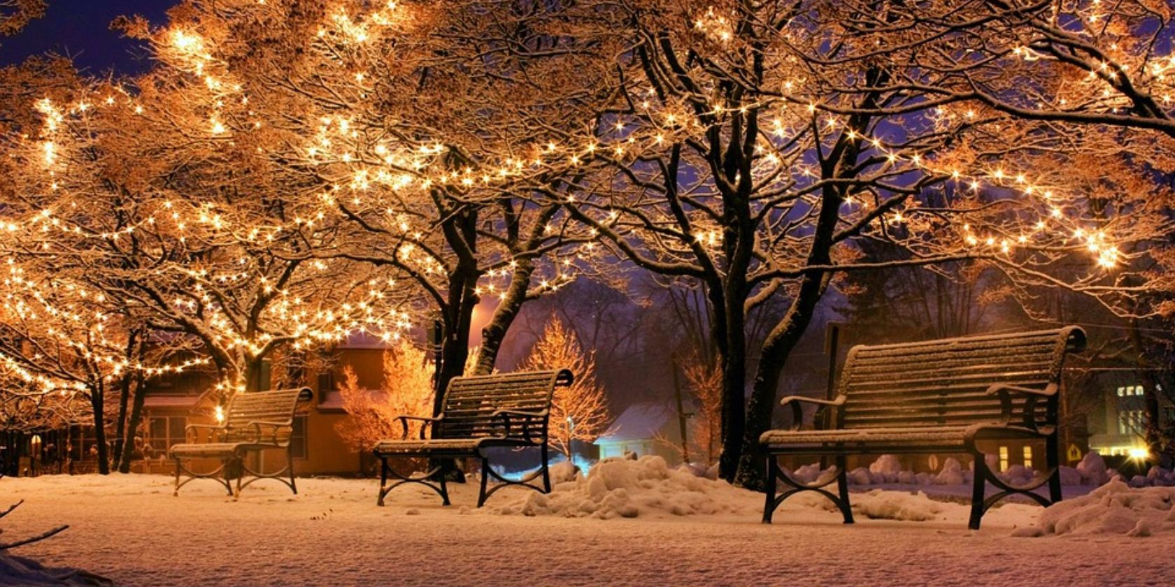 decorated trees and bench in a park