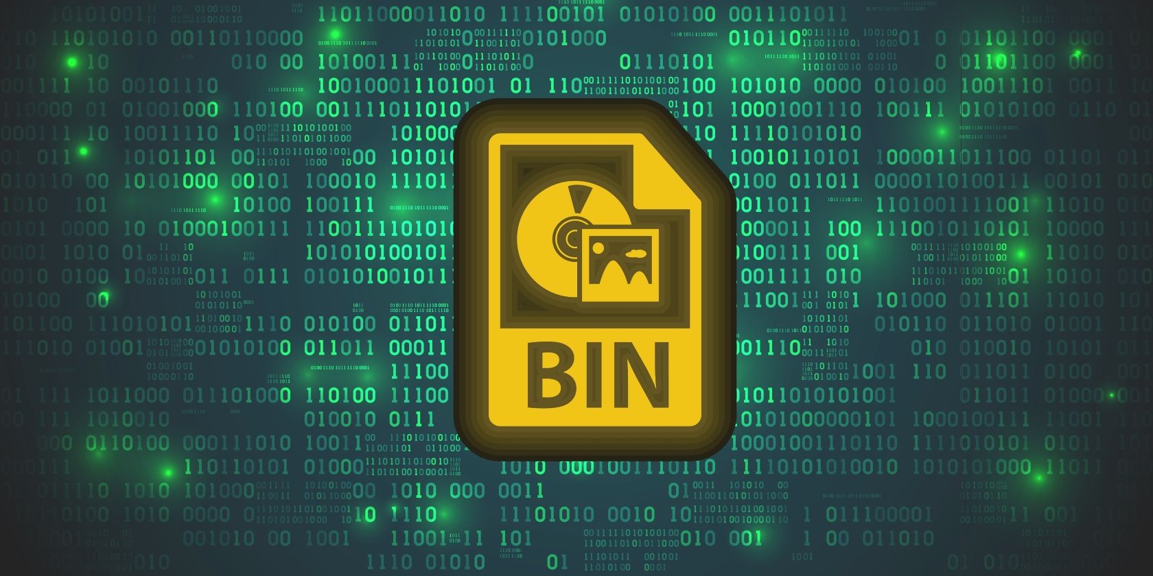 What Is the BIN File Format?