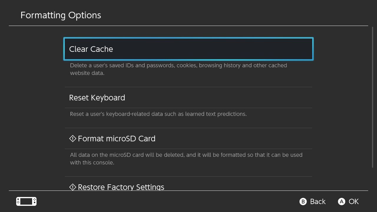 A screenshot of the Nintendo Switch settings for Format Options with Clear Cache highlighted
