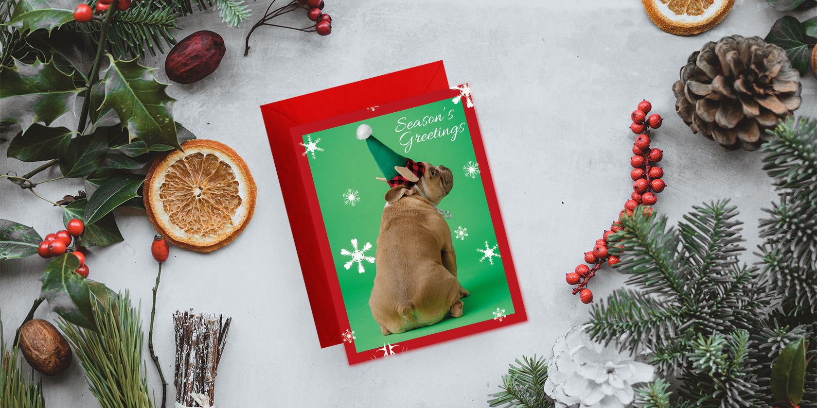 Christmas card with dog on it set on a Christmas nature background.