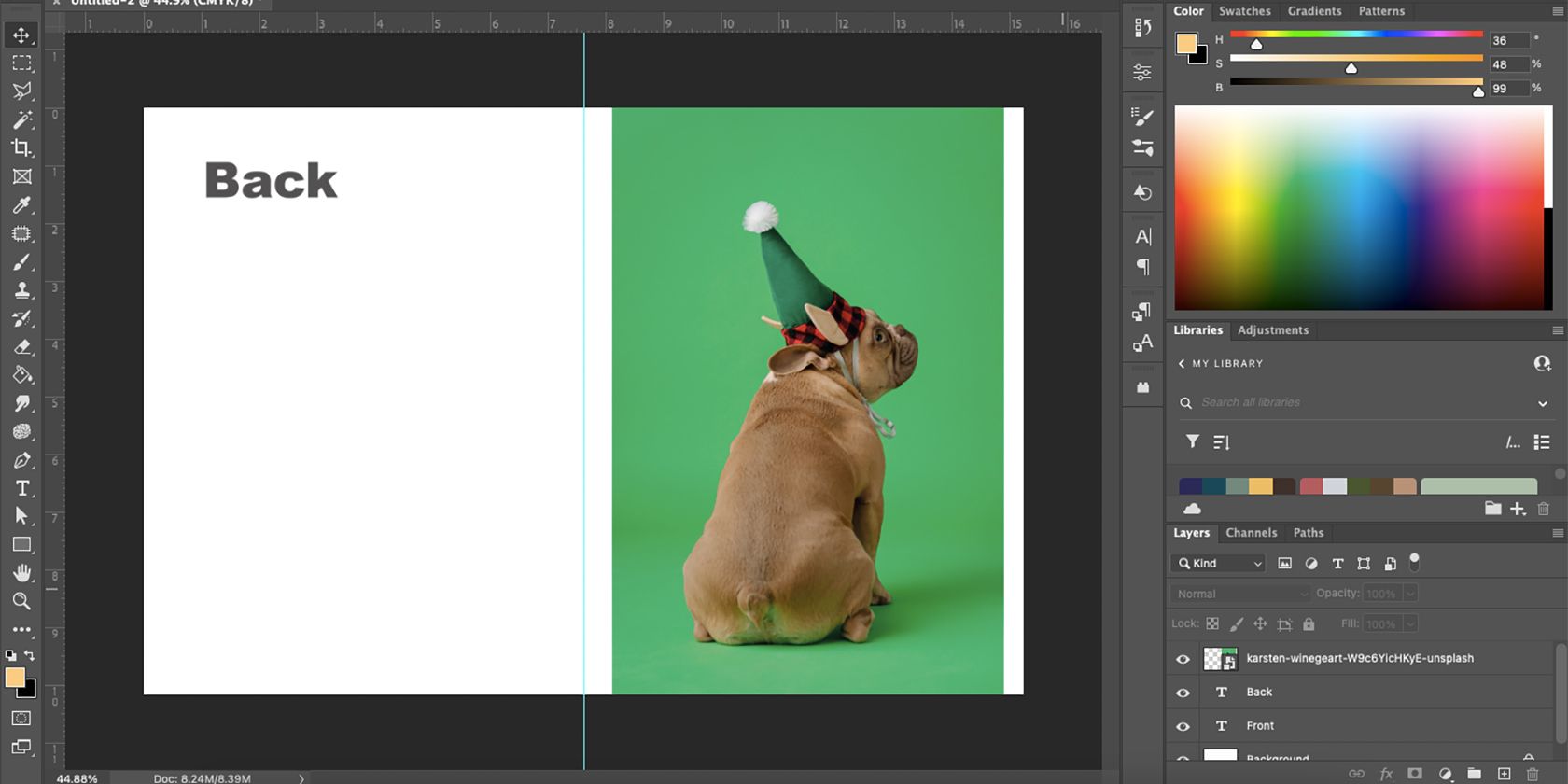 Photo of French bulldog on a Photoshop artboard.