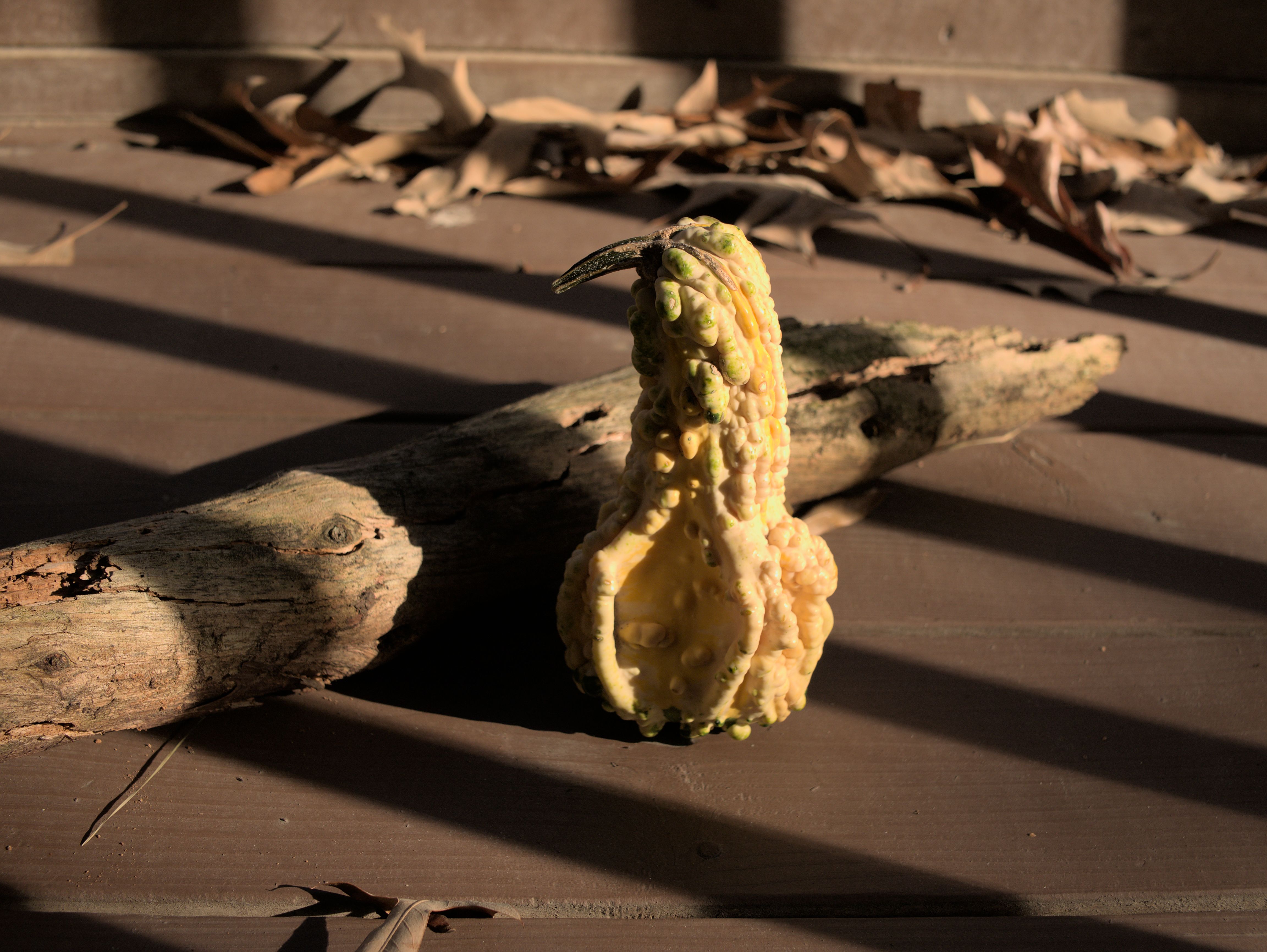 A RAW image of a gourd next to a stick.