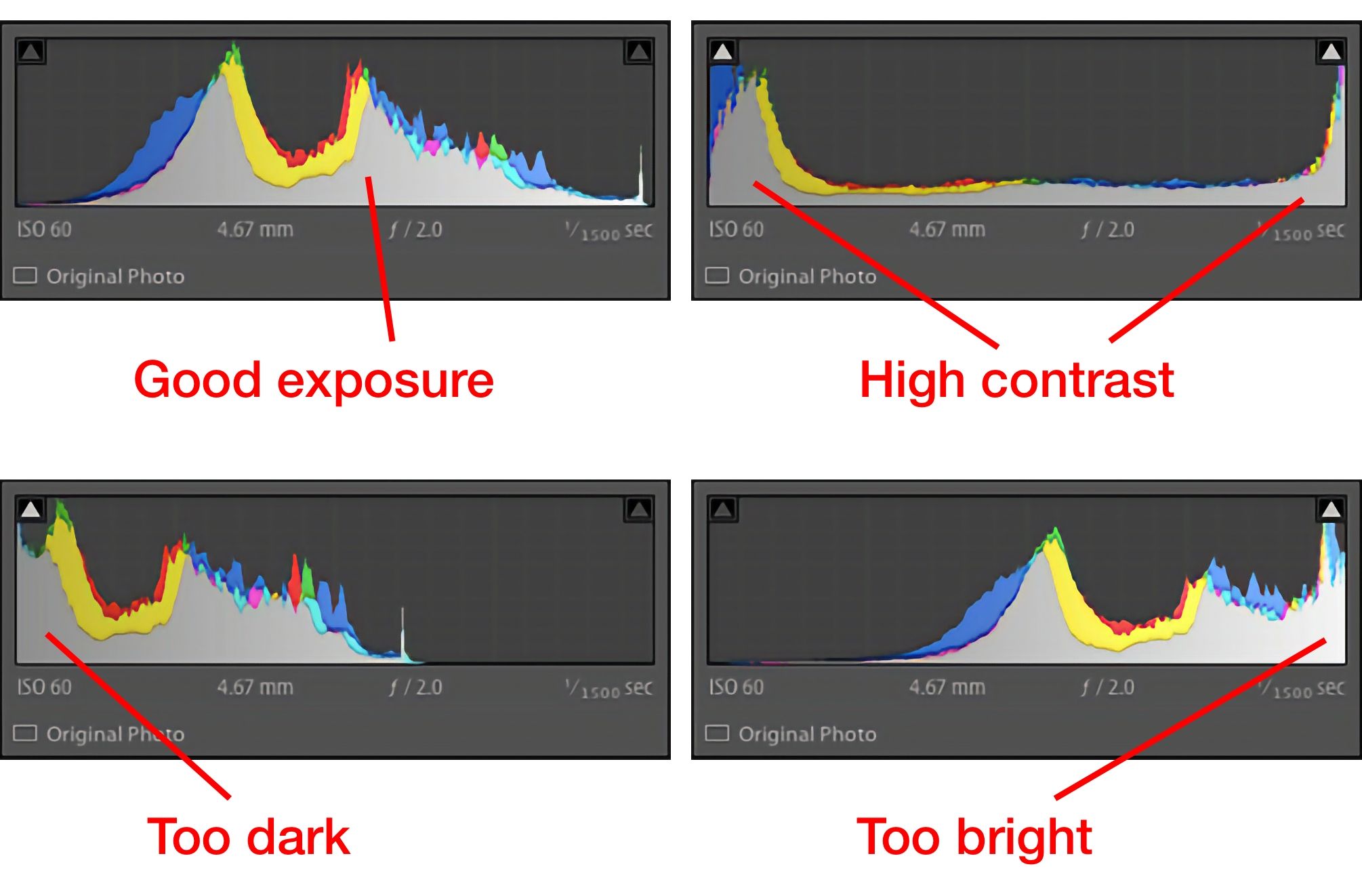 how to read the histogram in lightroom