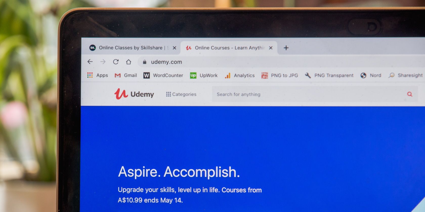 Close the laptop screen where the Udemy and Skillshare e-learning platform tabs are open.