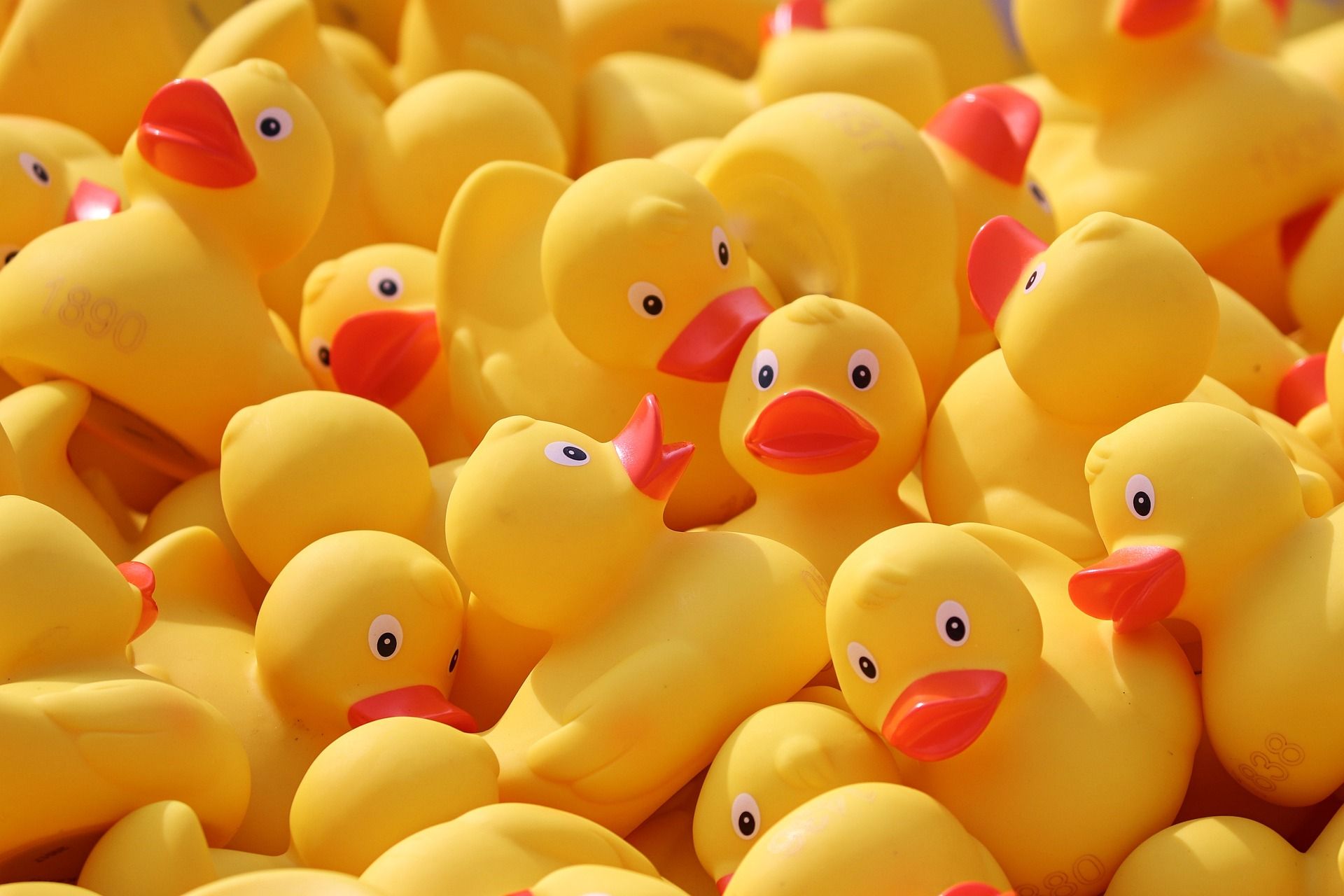 photo of yellow plastic ducks