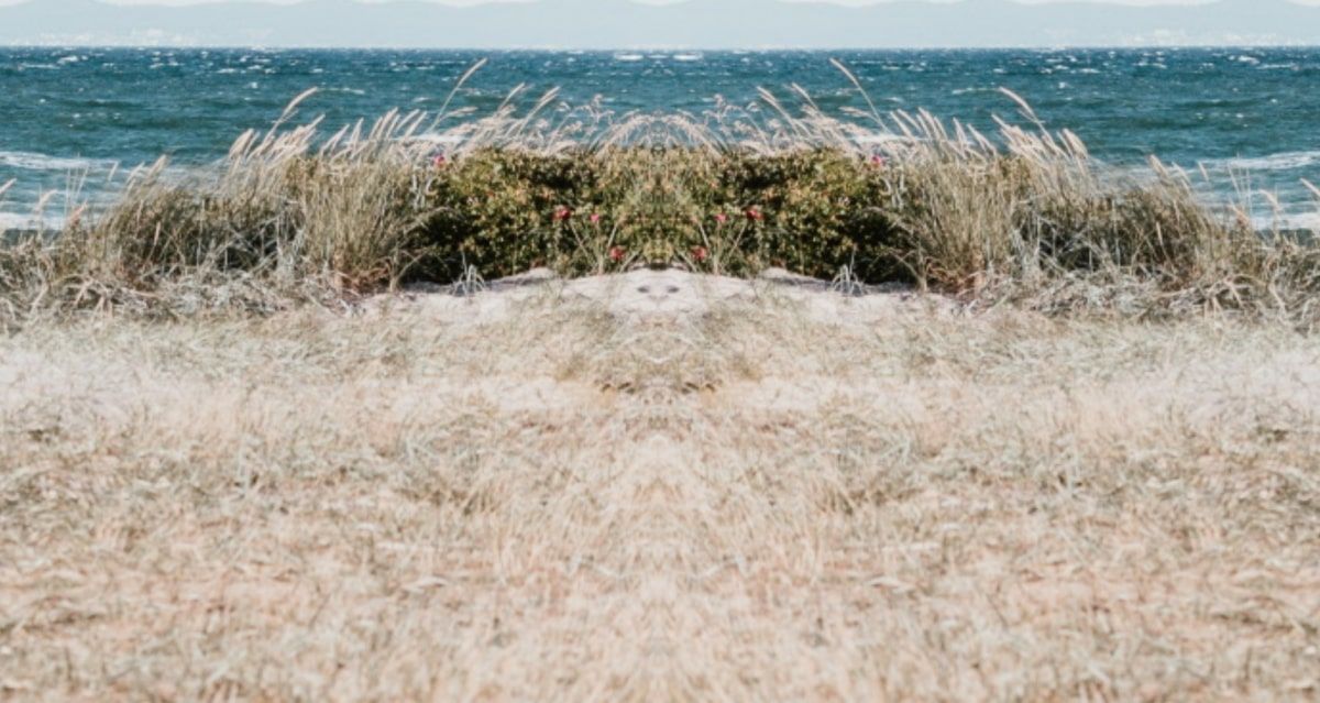 Un ejemplo de un reflejo de imagen de playa