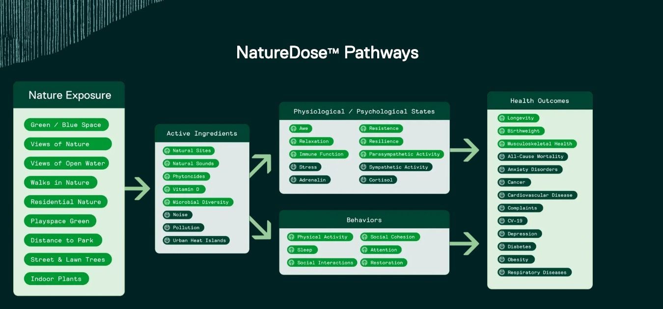 NatureDose Pathways to Wellness Diagram