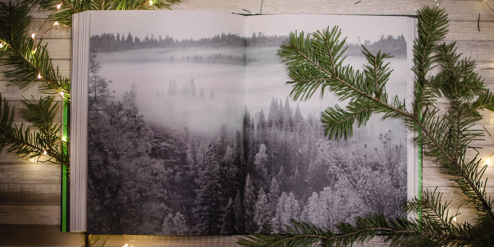 photo book surrounded by fairy lights and pine branches featured image