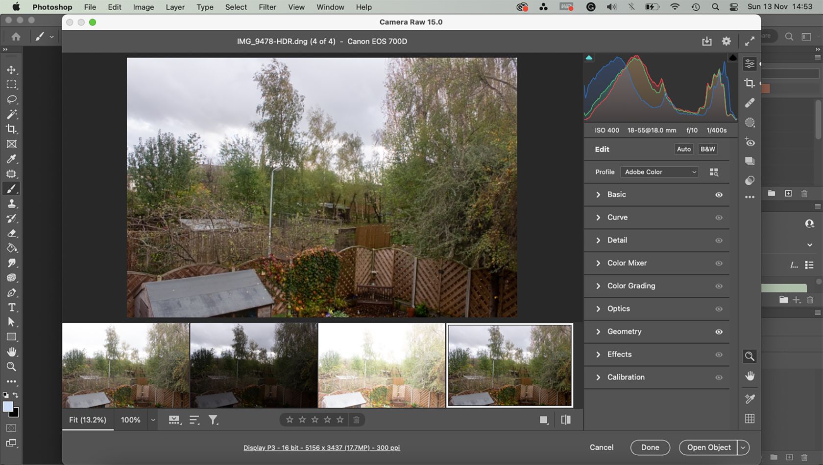 Screenshot of Photoshop with Camera RAW open..