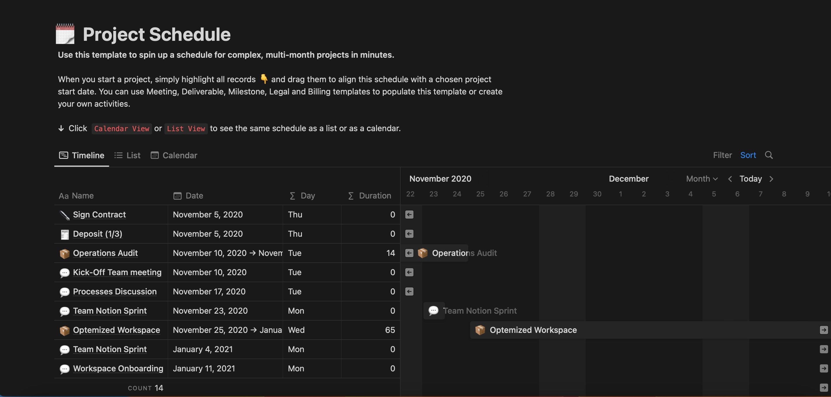 Project Schedule Notion Screenshot