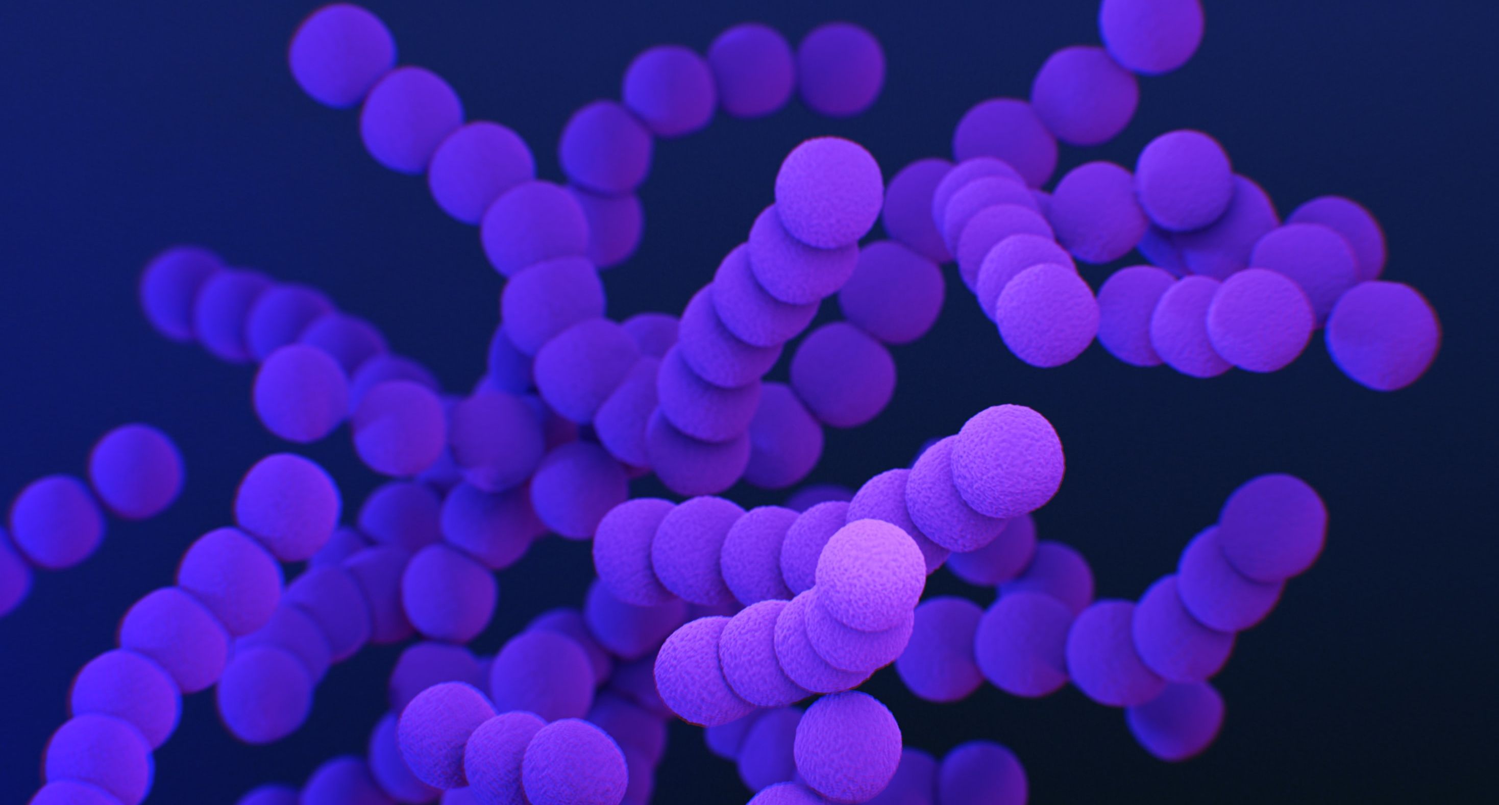microscopic image of purple organism