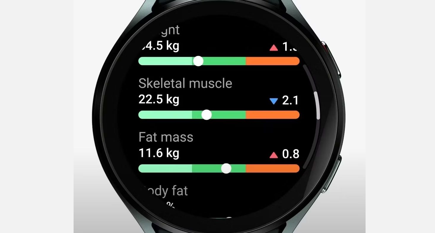 Samsung Galaxy Watch showing fat mass
