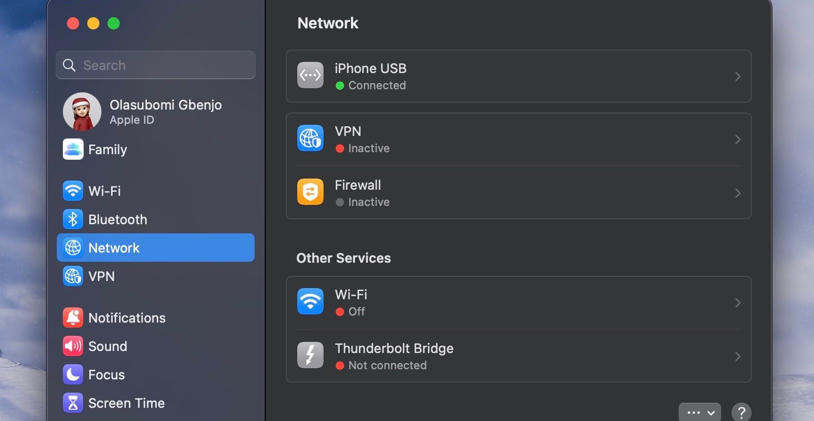 Screenshot of the iPhone USB section in Network settings