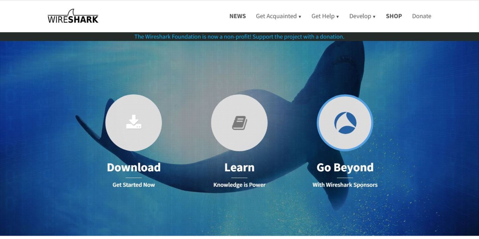 Screenshot of the Wireshark website 