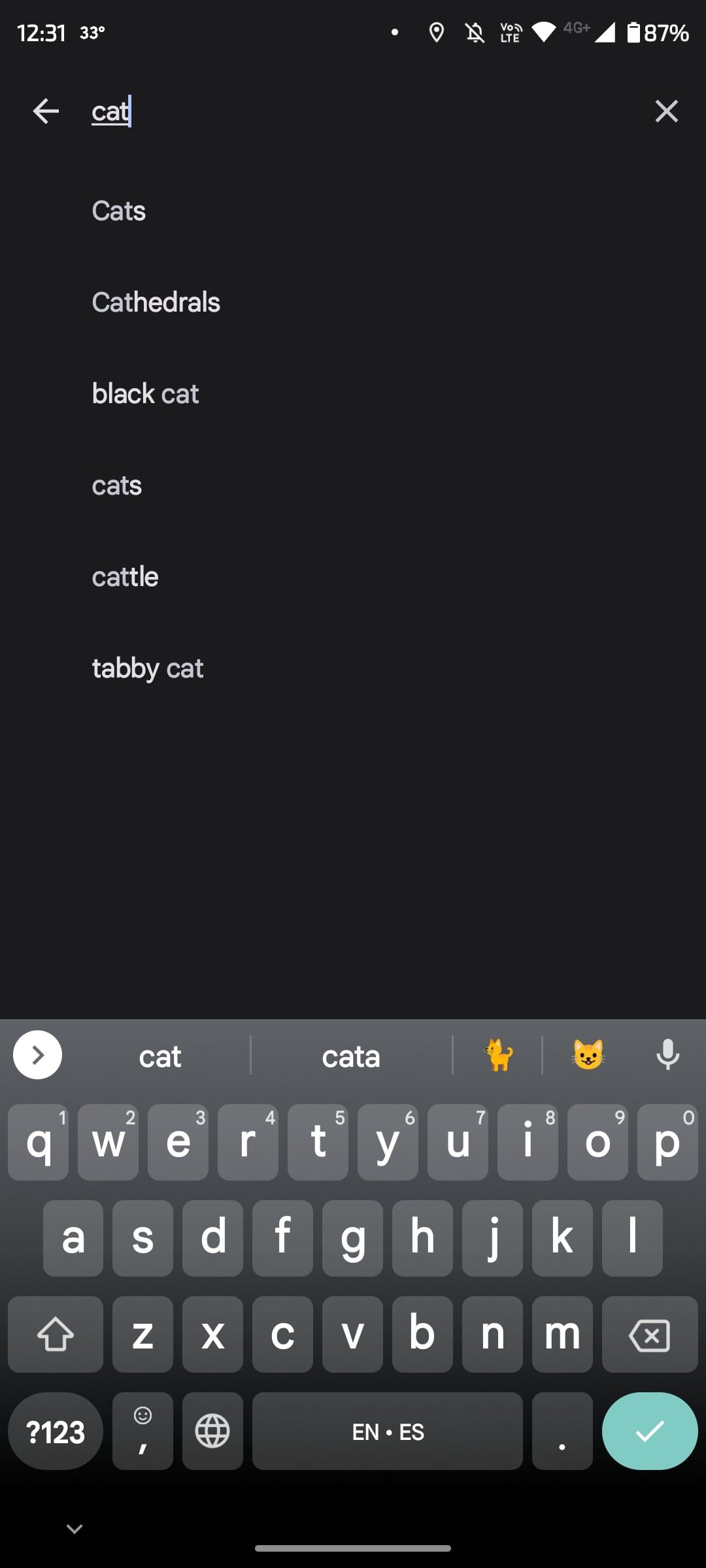 Search bar with cat as text and recommendations