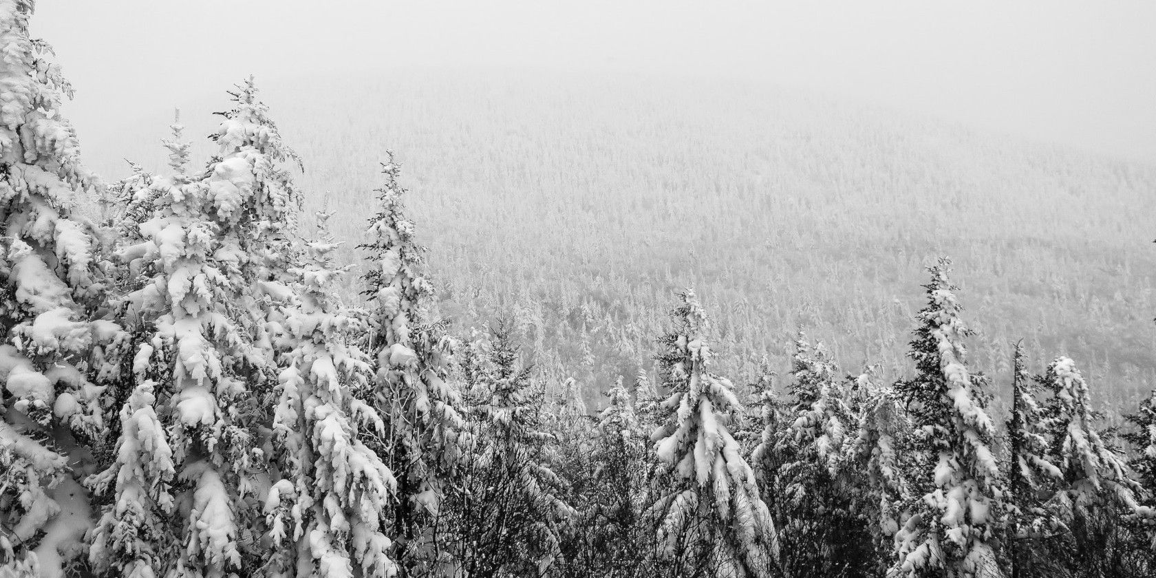snowy theme in mountains