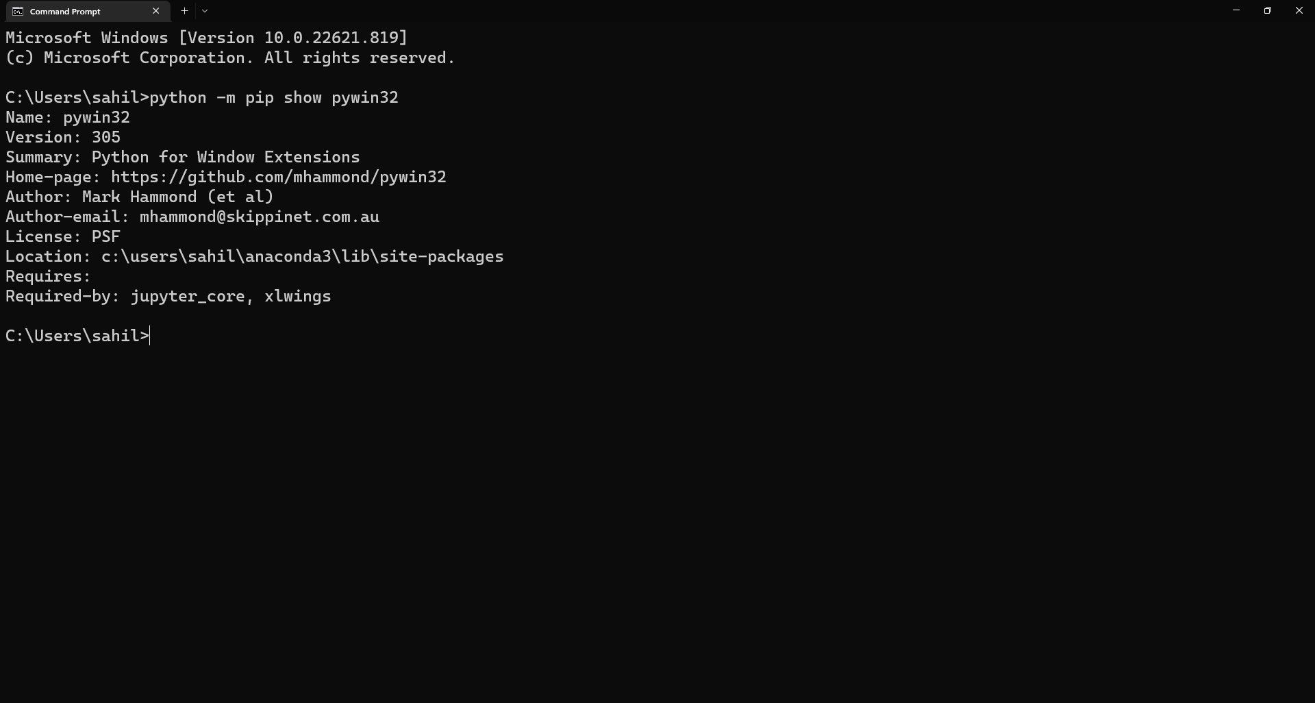 Windows command prompt with Python verification code