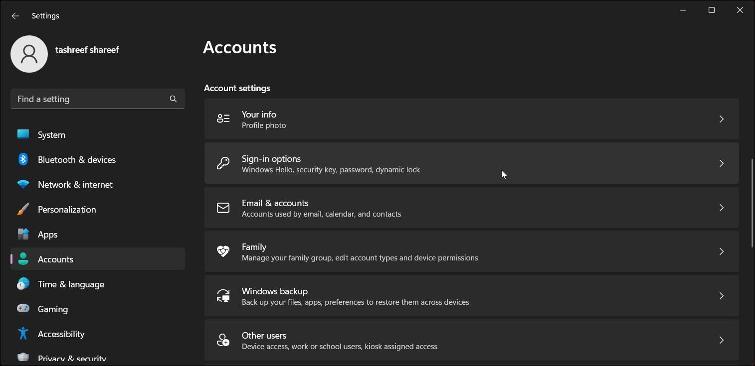 Windows 11 sign-in options 